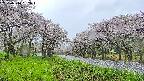takano1-20250510062016.jpg