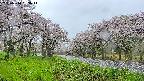 takano1-20250510063015.jpg