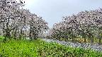takano1-20250510065016.jpg