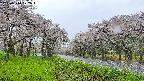 takano1-20250510072016.jpg