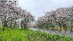 takano1-20250510074017.jpg