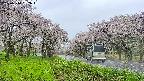 takano1-20250510082016.jpg