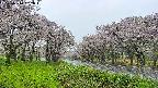 takano1-20250510092016.jpg