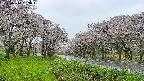 takano1-20250510093016.jpg