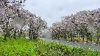 takano1-20250510094017.jpg