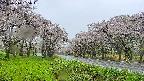 takano1-20250510095017.jpg