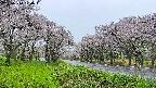 takano1-20250510100016.jpg