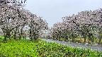 takano1-20250510101016.jpg