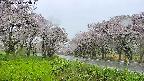 takano1-20250510103017.jpg