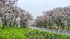 takano1-20250510105018.jpg