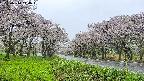 takano1-20250510110017.jpg