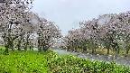 takano1-20250510111016.jpg