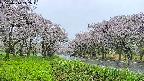 takano1-20250510112015.jpg