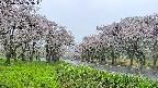 takano1-20250510113016.jpg