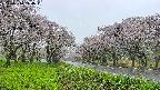 takano1-20250510114016.jpg