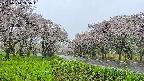 takano1-20250510115015.jpg