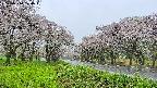 takano1-20250510120017.jpg
