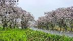 takano1-20250510123017.jpg