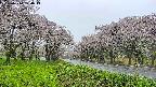 takano1-20250510124015.jpg