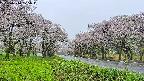 takano1-20250510125017.jpg