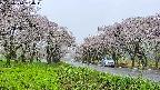 takano1-20250510130016.jpg