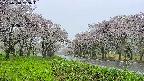 takano1-20250510133017.jpg