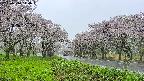 takano1-20250510140017.jpg