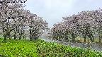 takano1-20250510141017.jpg