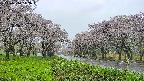 takano1-20250510142016.jpg