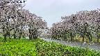 takano1-20250510144017.jpg