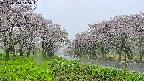 takano1-20250510145017.jpg