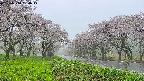 takano1-20250510150018.jpg