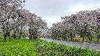 takano1-20250510152016.jpg