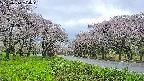 takano1-20250510154017.jpg