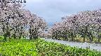 takano1-20250510155015.jpg