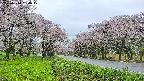 takano1-20250510160018.jpg