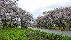 takano1-20250510161015.jpg