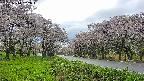 takano1-20250510162017.jpg