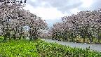 takano1-20250510163015.jpg