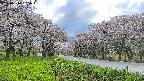 takano1-20250510165017.jpg
