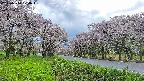 takano1-20250510170017.jpg