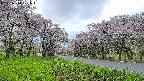 takano1-20250510171017.jpg