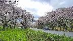 takano1-20250510172016.jpg