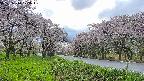takano1-20250510173017.jpg