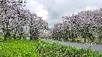 takano1-20250510174018.jpg
