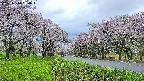 takano1-20250510180015.jpg