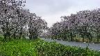 takano1-20250510182015.jpg