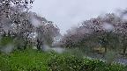 takano1-20250510184015.jpg