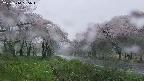 takano1-20250510185014.jpg
