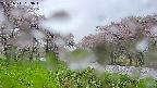 takano1-20250511053018.jpg
